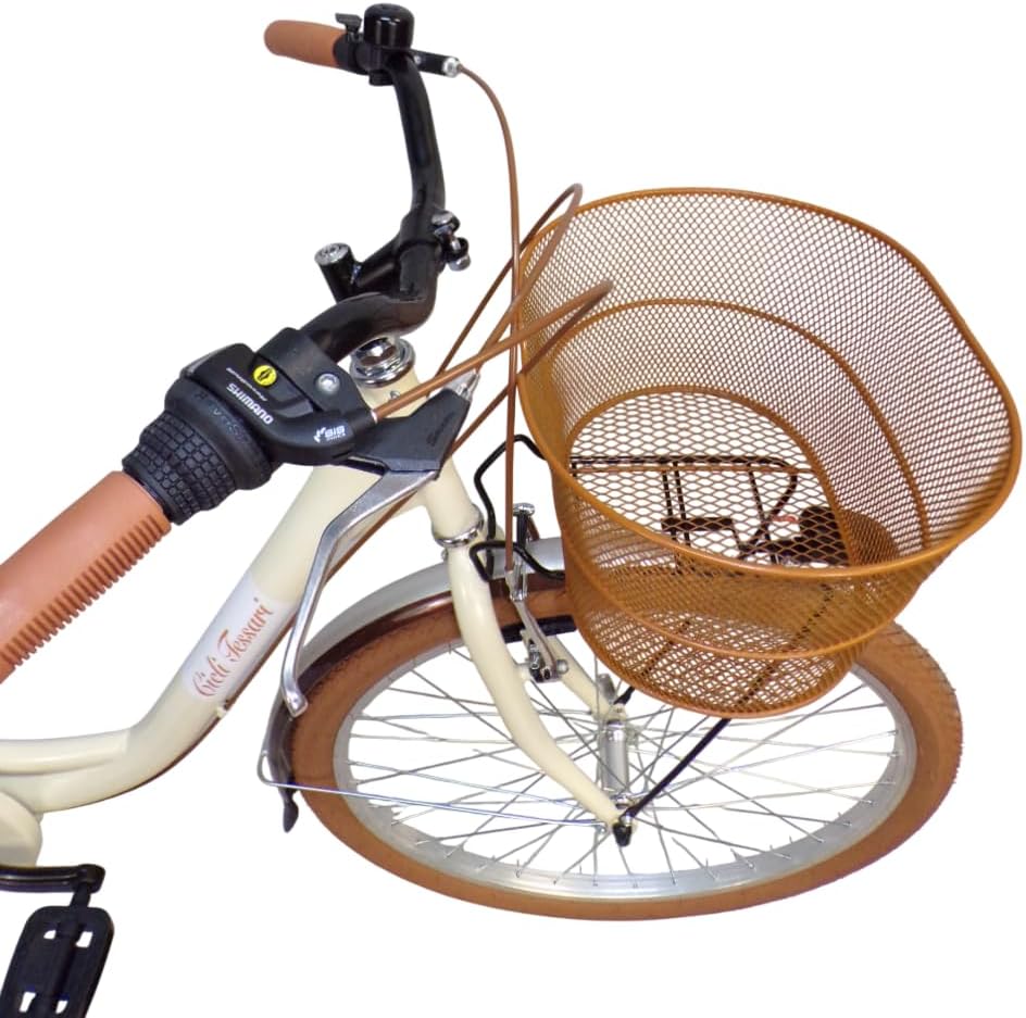 Cicli Tessari - bicicletta donna bici da passeggio city bike 26 cambio 6 velocita' telaio basso
