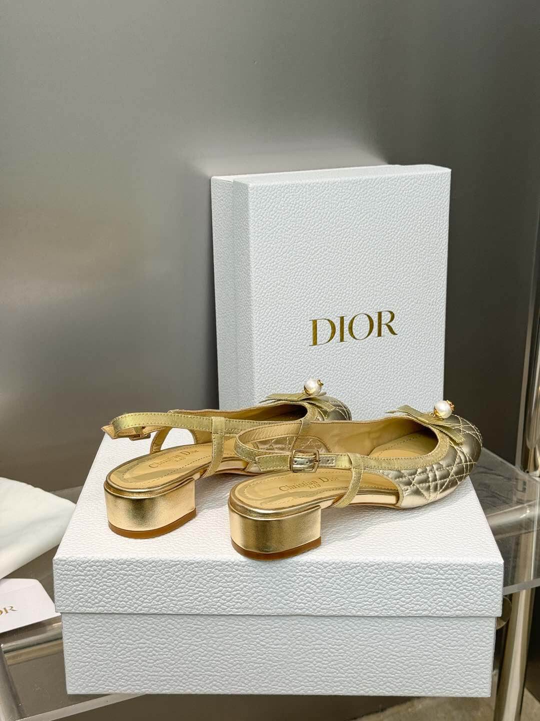 Dior Ballet Slingback Pump - Top Club