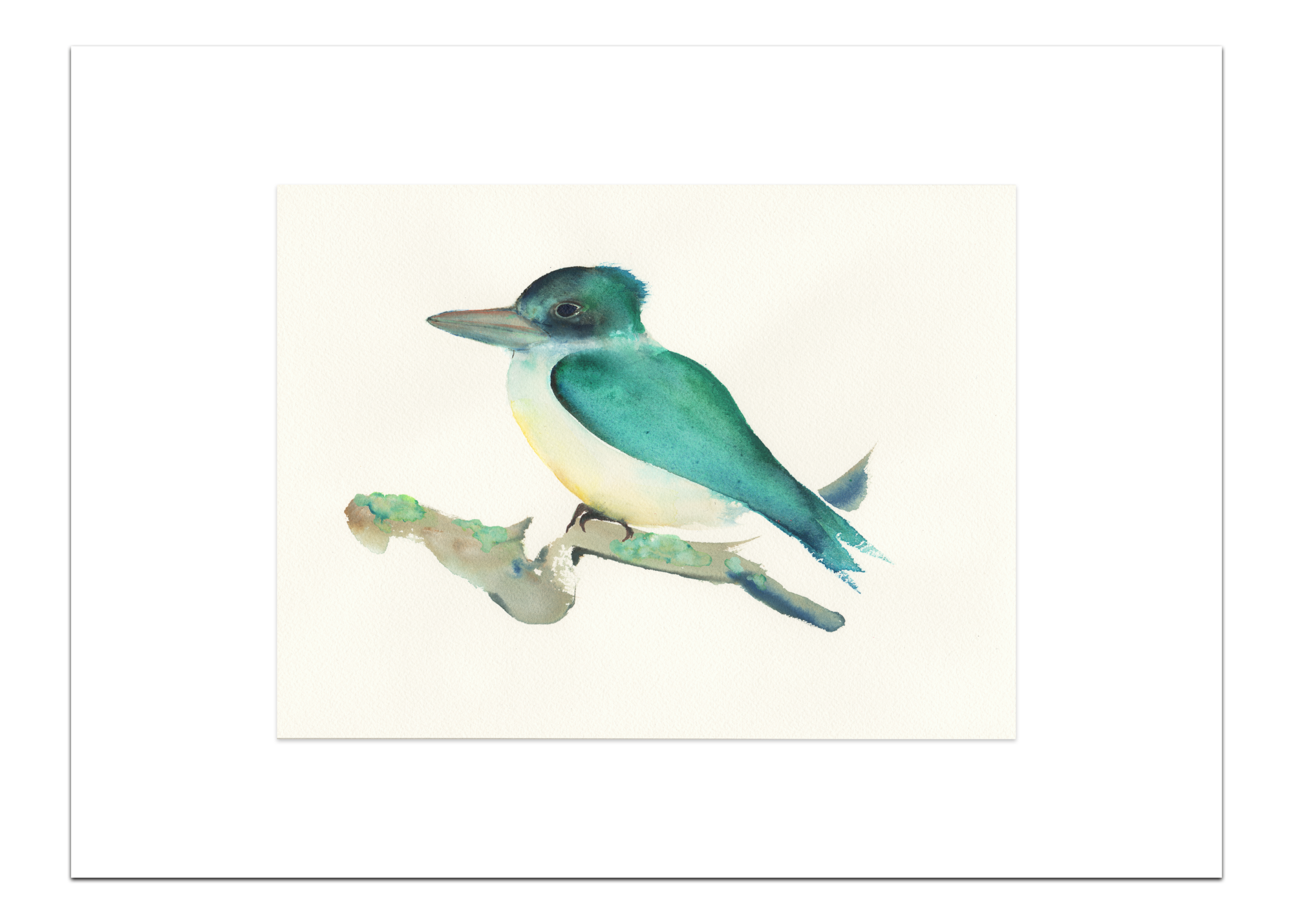 Poster Groene IJsvogel 30 x 40 cm