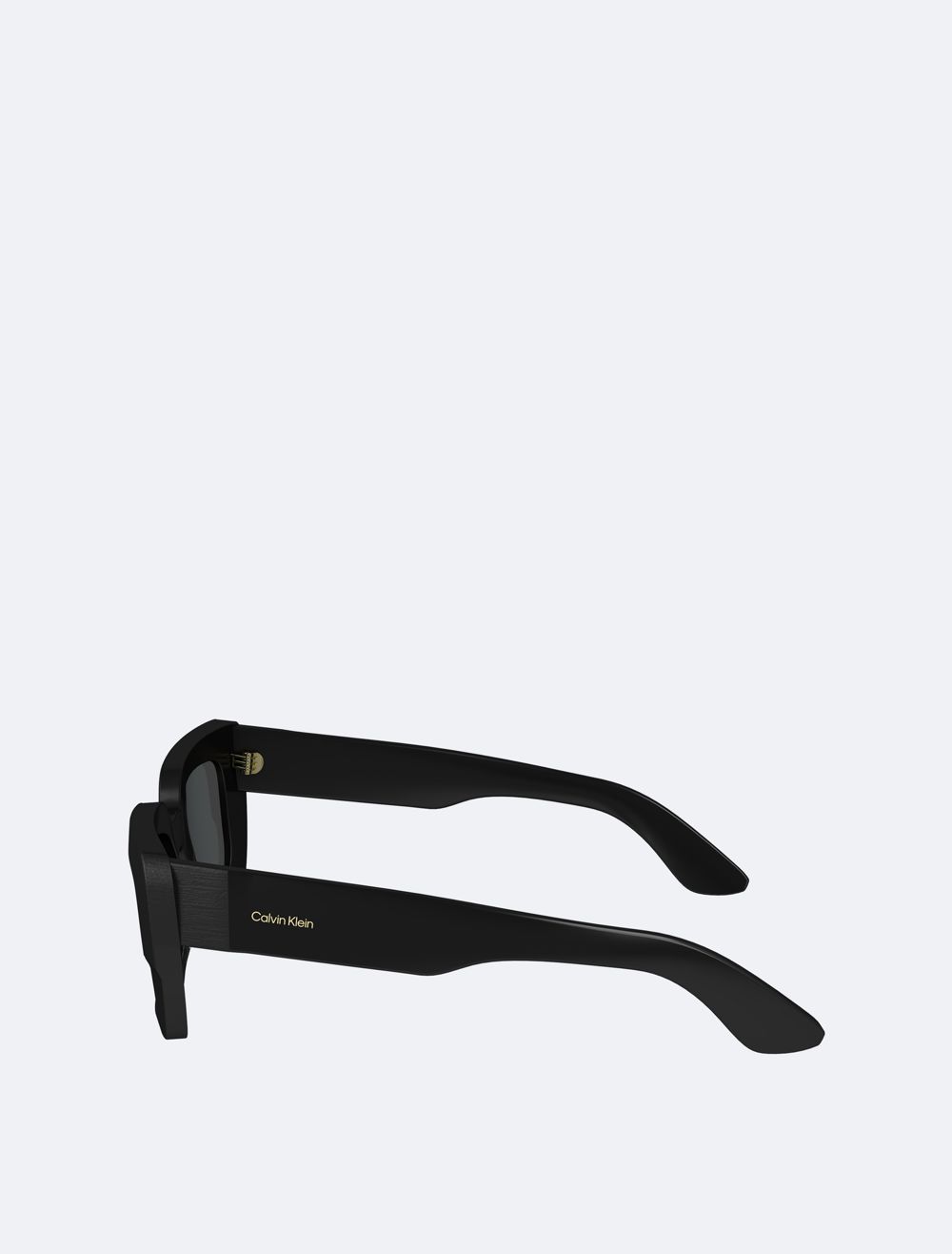 COACH Naturals Modern Butterfly Sunglasses
