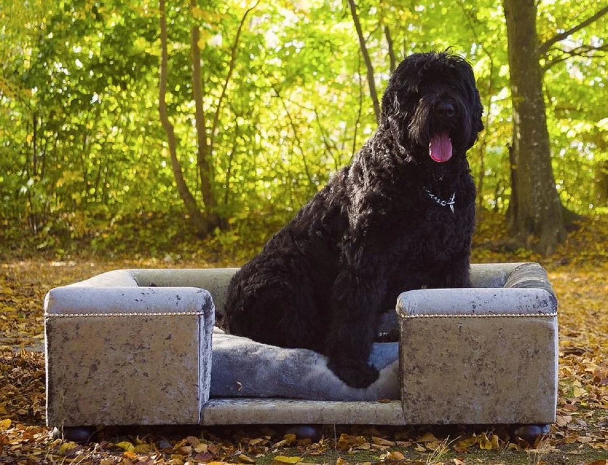 Luxury dog ​​bed gray pattern / dark brown / gray 120 x 90 x H. 37 cm - Modern rectangular dog bed with cushions - Luxury dog ​​furniture - Luxury pet furniture