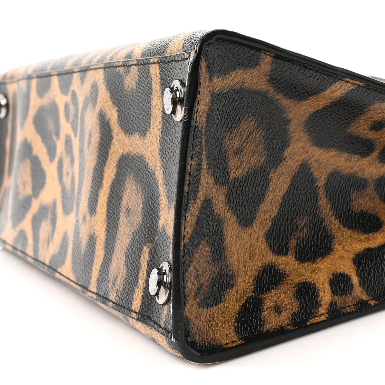 Canvas Calfskin Wild Animal Print City Steamer EW Marron - Top Club