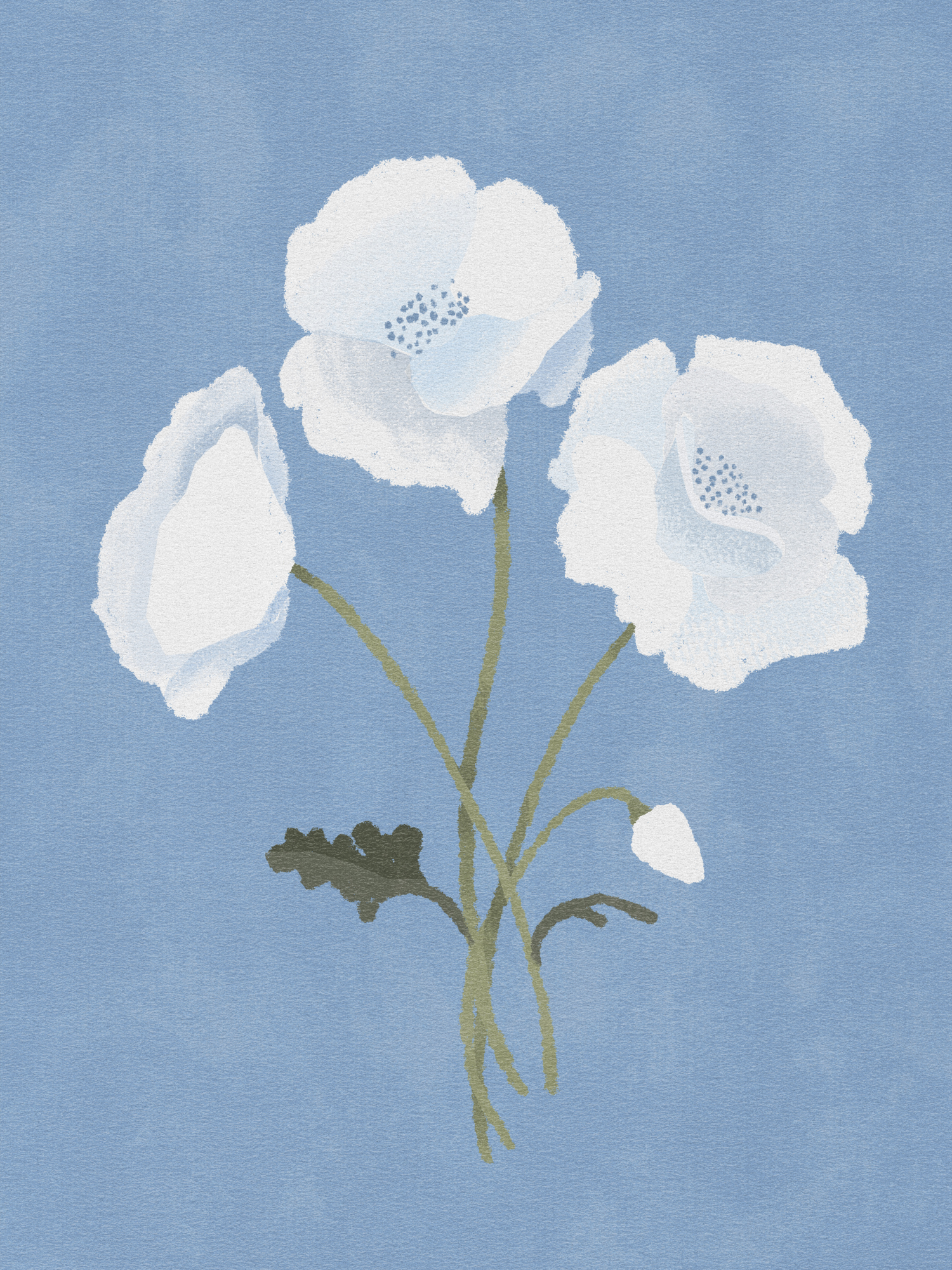 Poster White on blue 30 x 40 cm