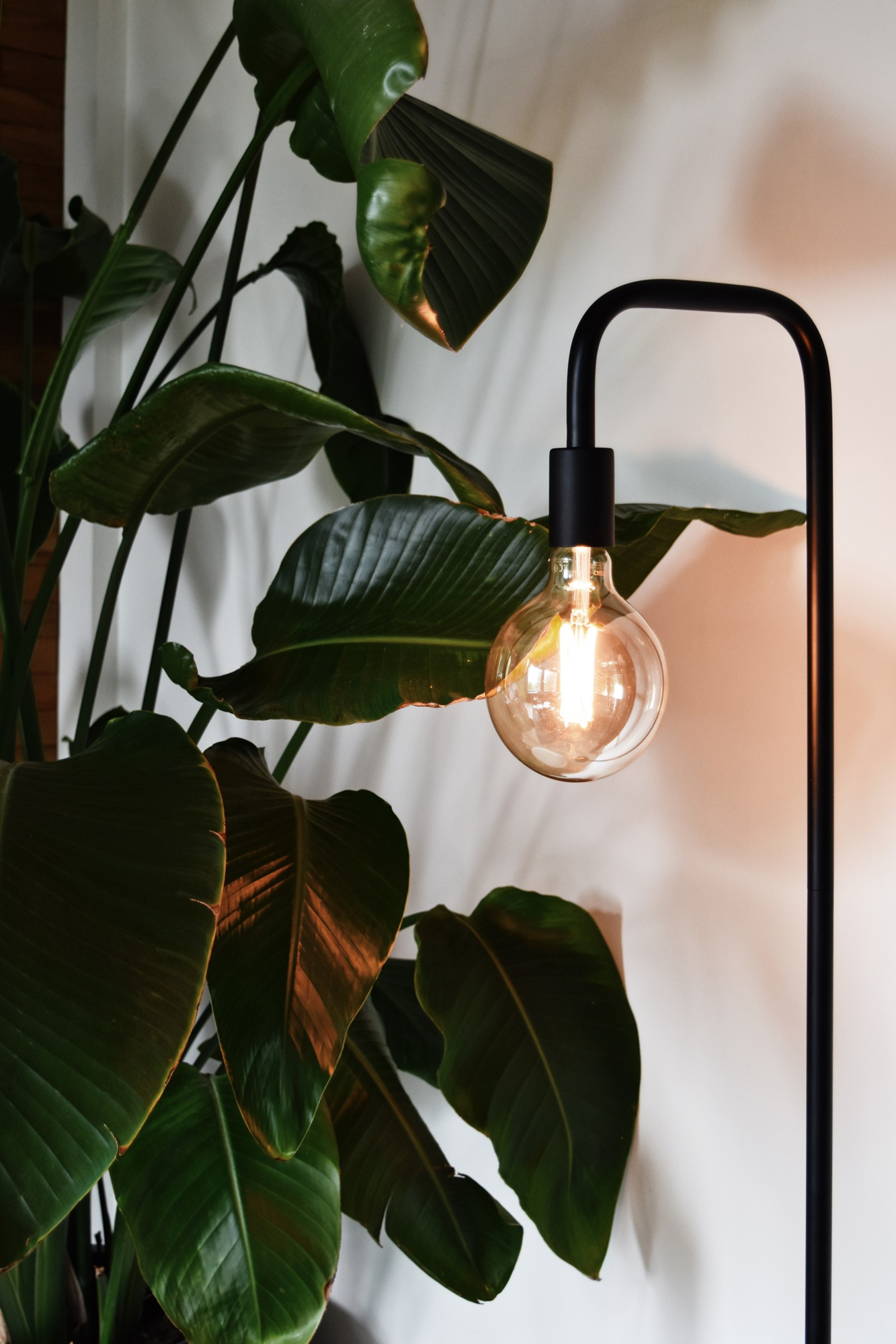 Vloerlamp Stefan zwart Stefan Vloerlamp Zwart #1
