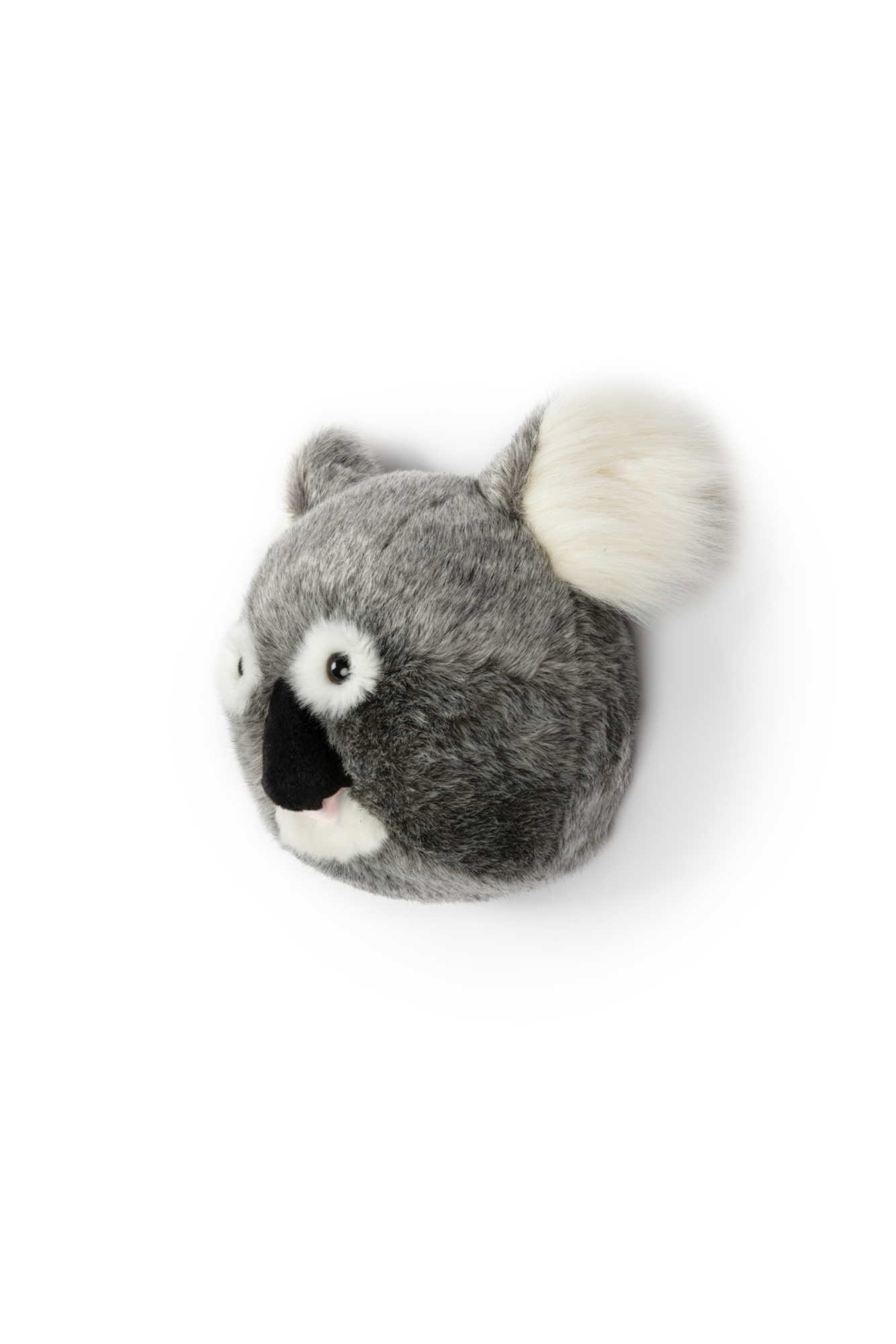 Dierenkop koala Noah