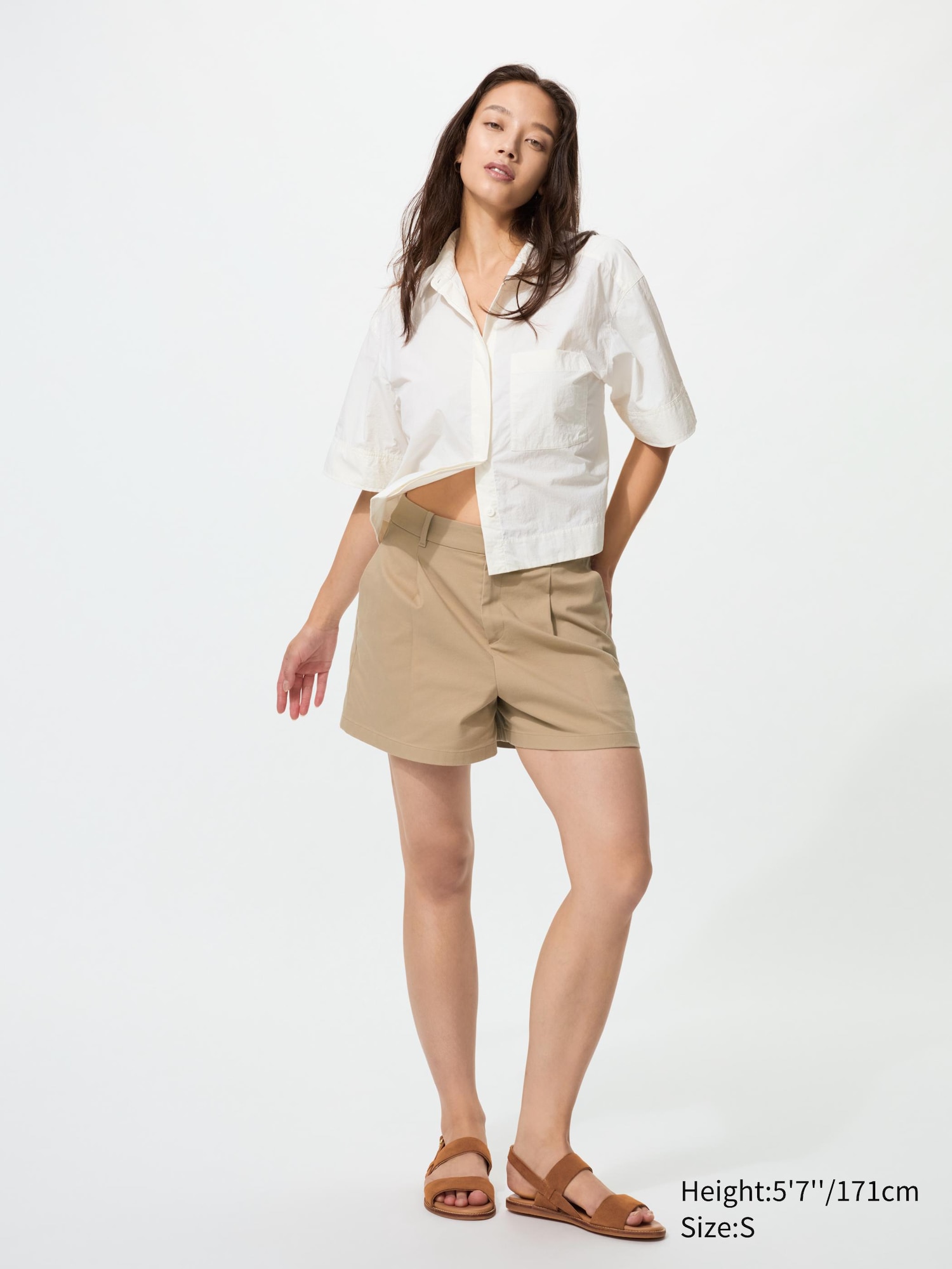 Chino Shorts