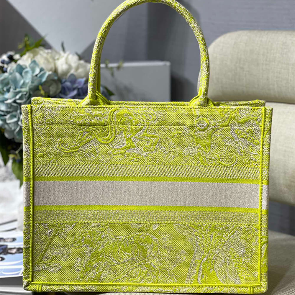 SMALL DIOR BOOK TOTE - Top Club