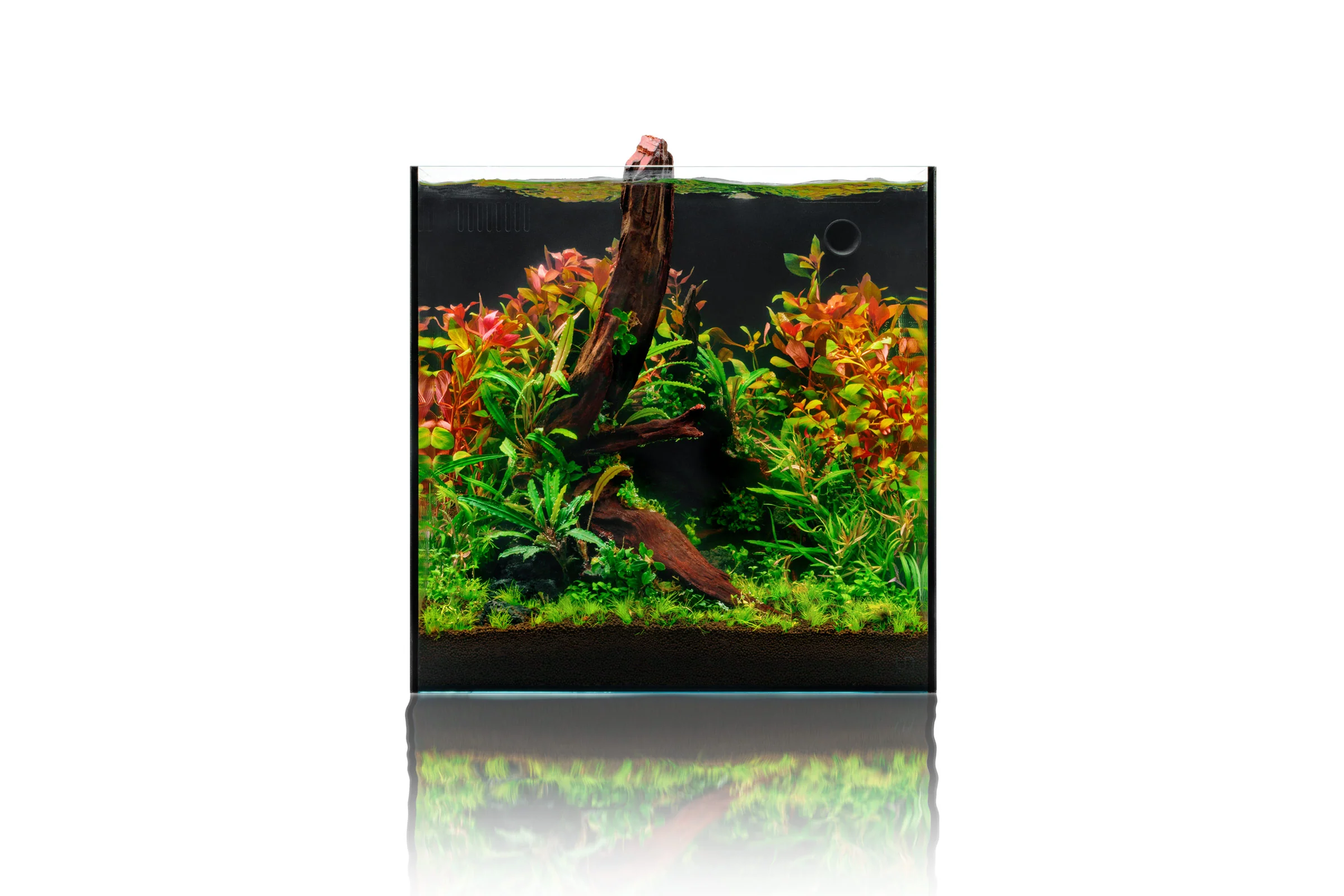 UNS Dual All-In-One Glass Aquarium Tank