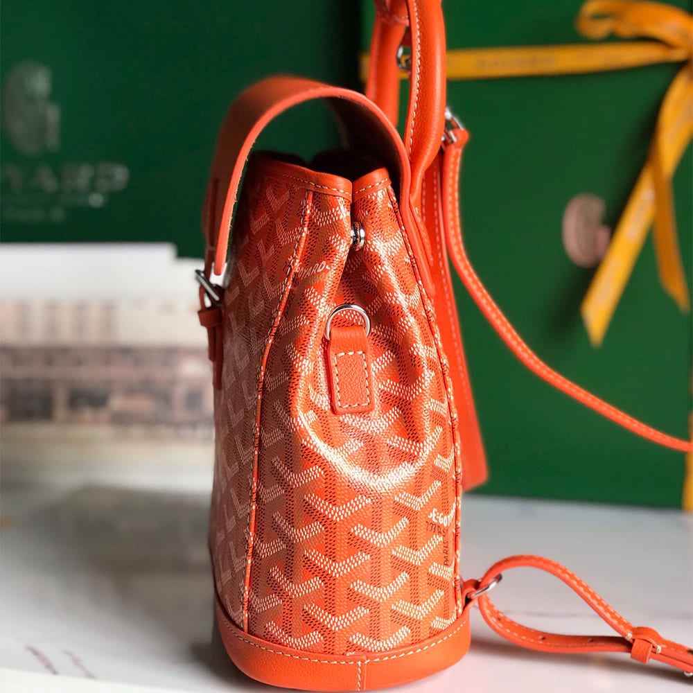 Goyard Alpin Mini Backpack - Top Club