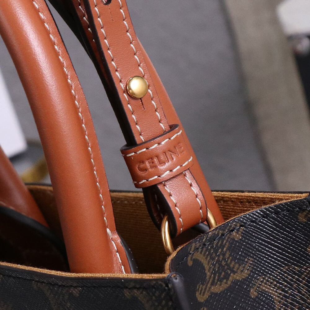 CELINE Mini Vertical Cabas IN Triomphe Canvas with Celine print - Top Club