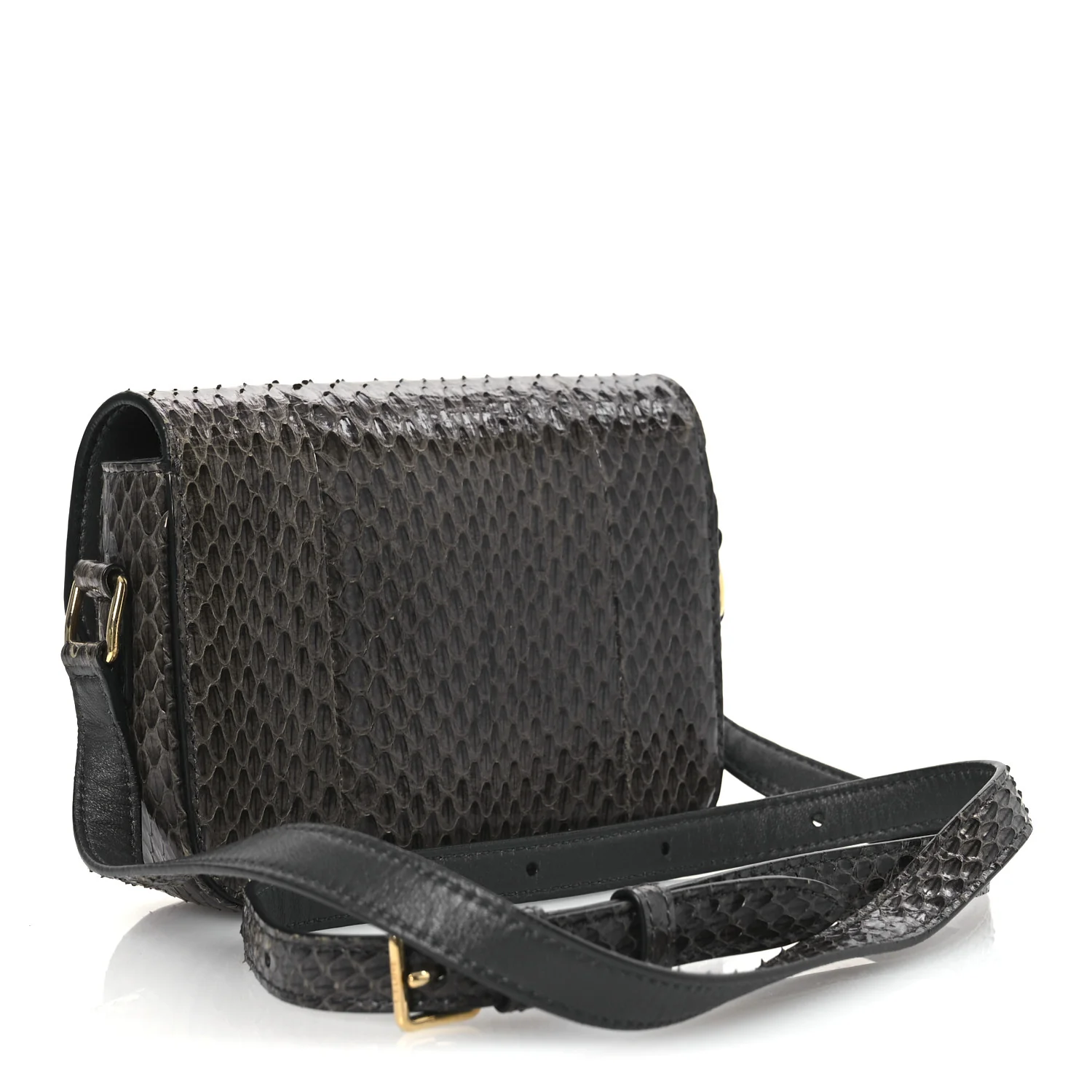 Watersnake Teen Triomphe Grey - Top Club