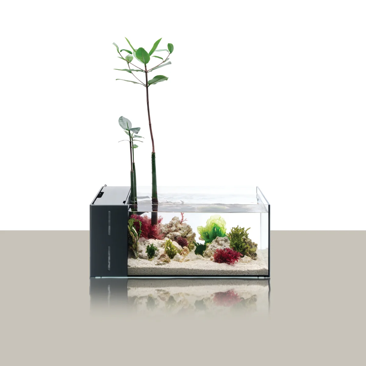 UNS Dual All-In-One Glass Aquarium Tank