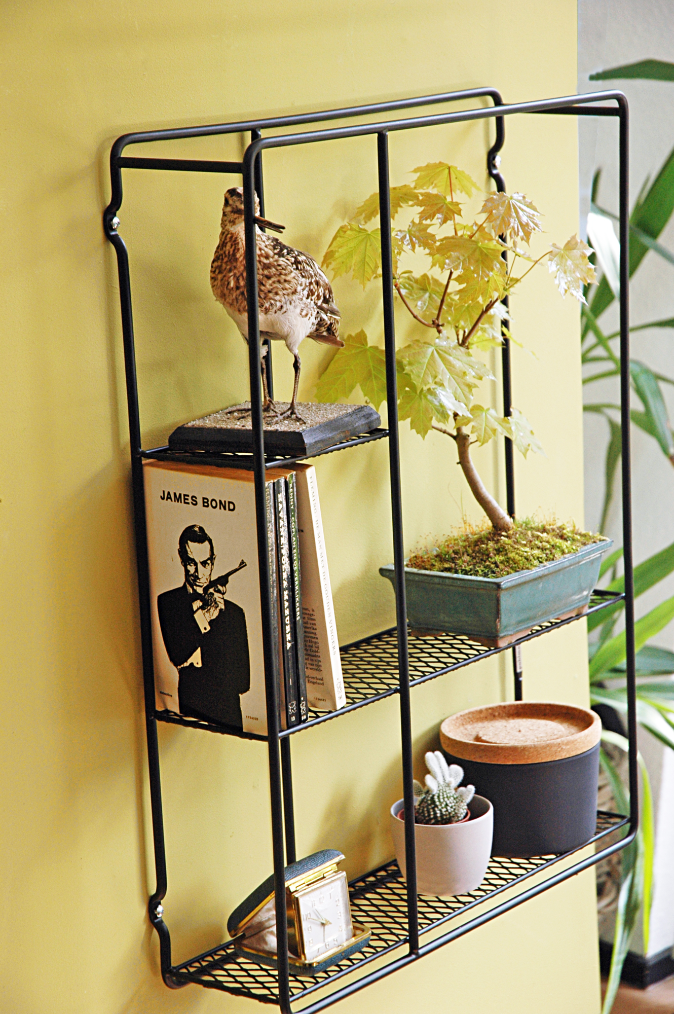 Puhlmann Showcase Frame