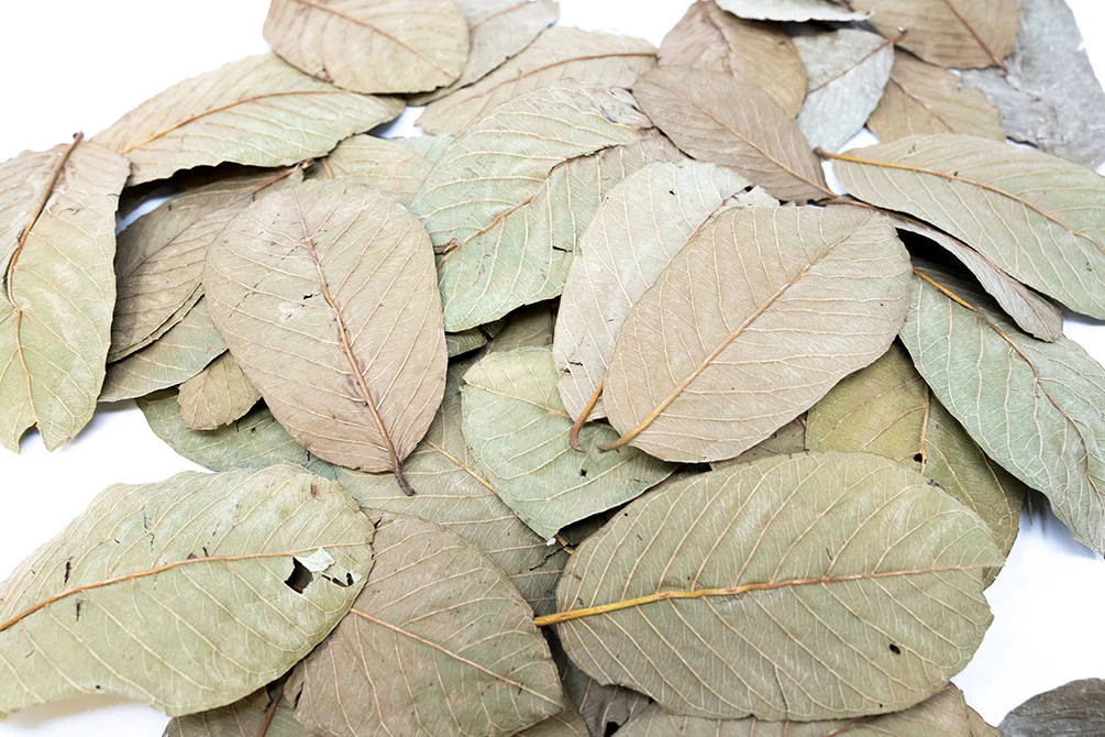 Aquatic Arts Guava Leaves