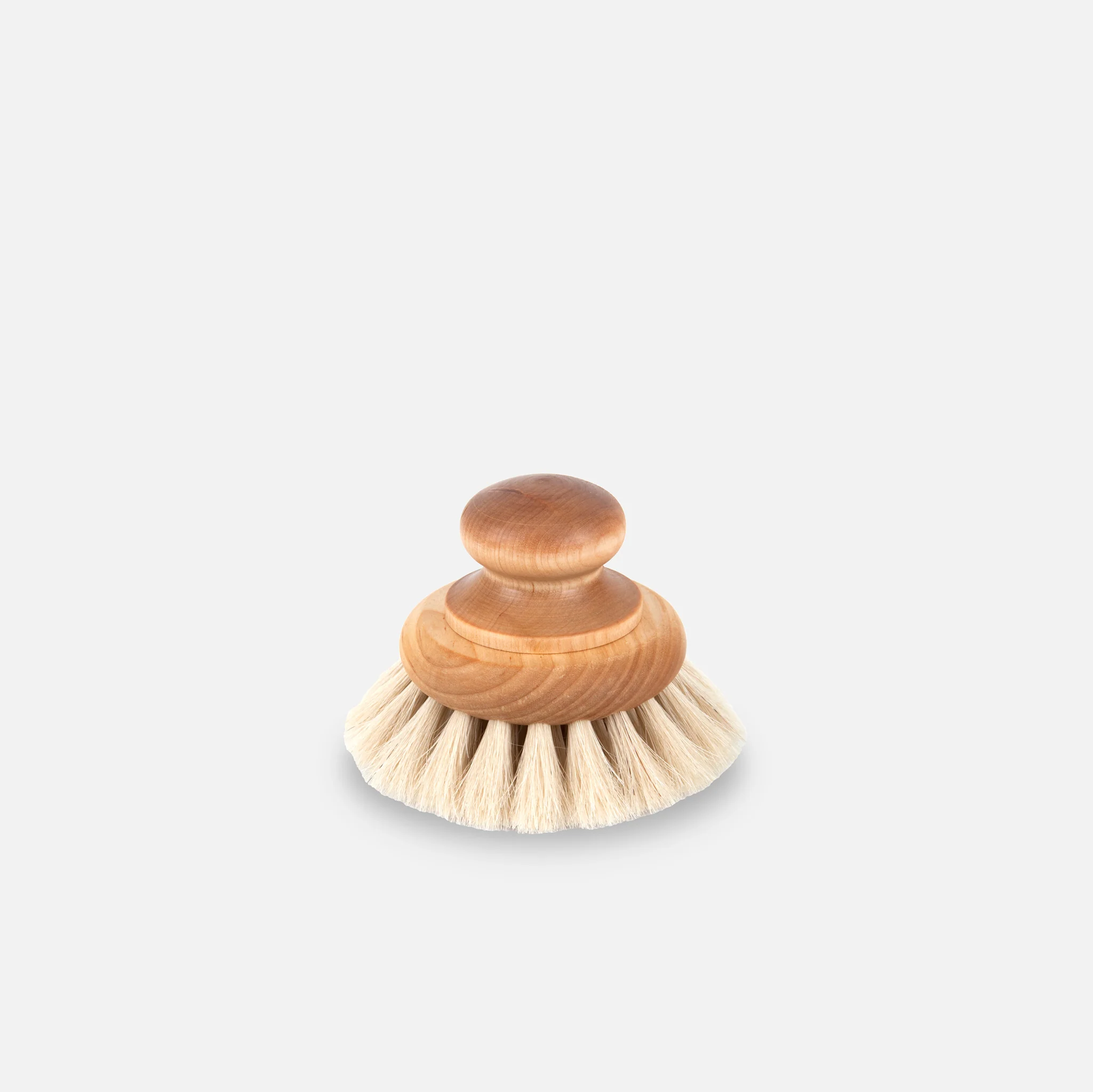 Bath Brush with Knob - Last Call