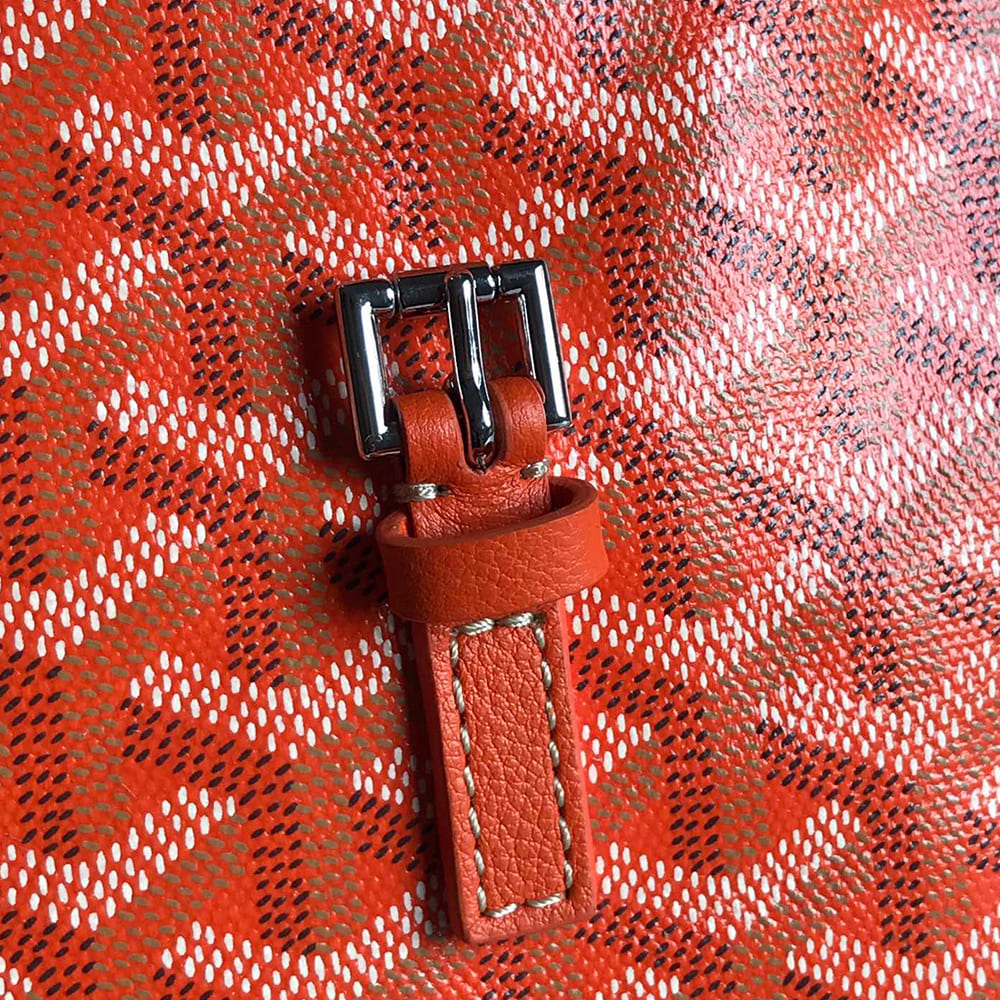 Goyard Alpin Mini Backpack - Top Club