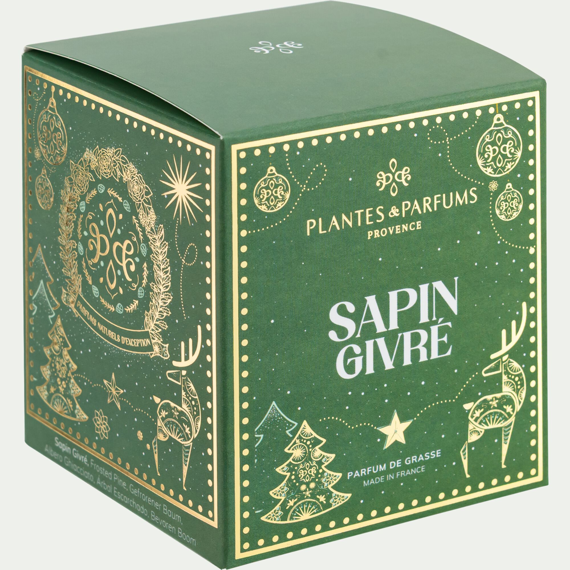 NOLY - Bougie parfumée senteur Sapin Givré 180g