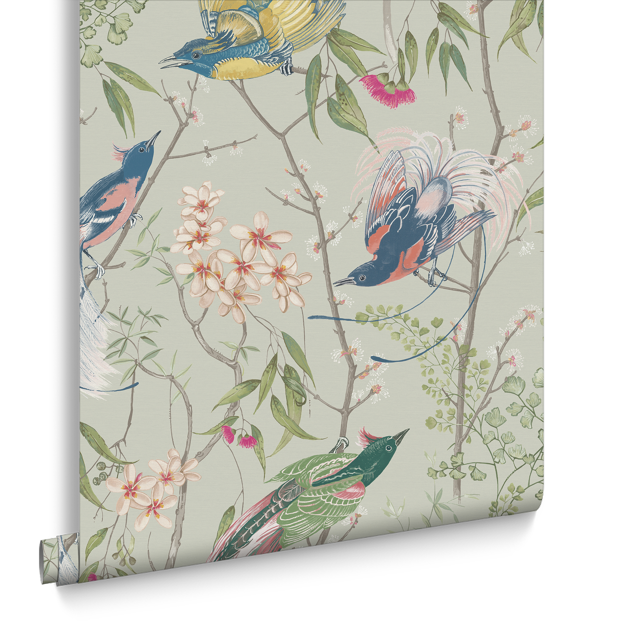 Graham & Brown vliesbehang Clavering Birds Morning Sage Graham & Brown vliesbehang Clavering Birds Morning Sage