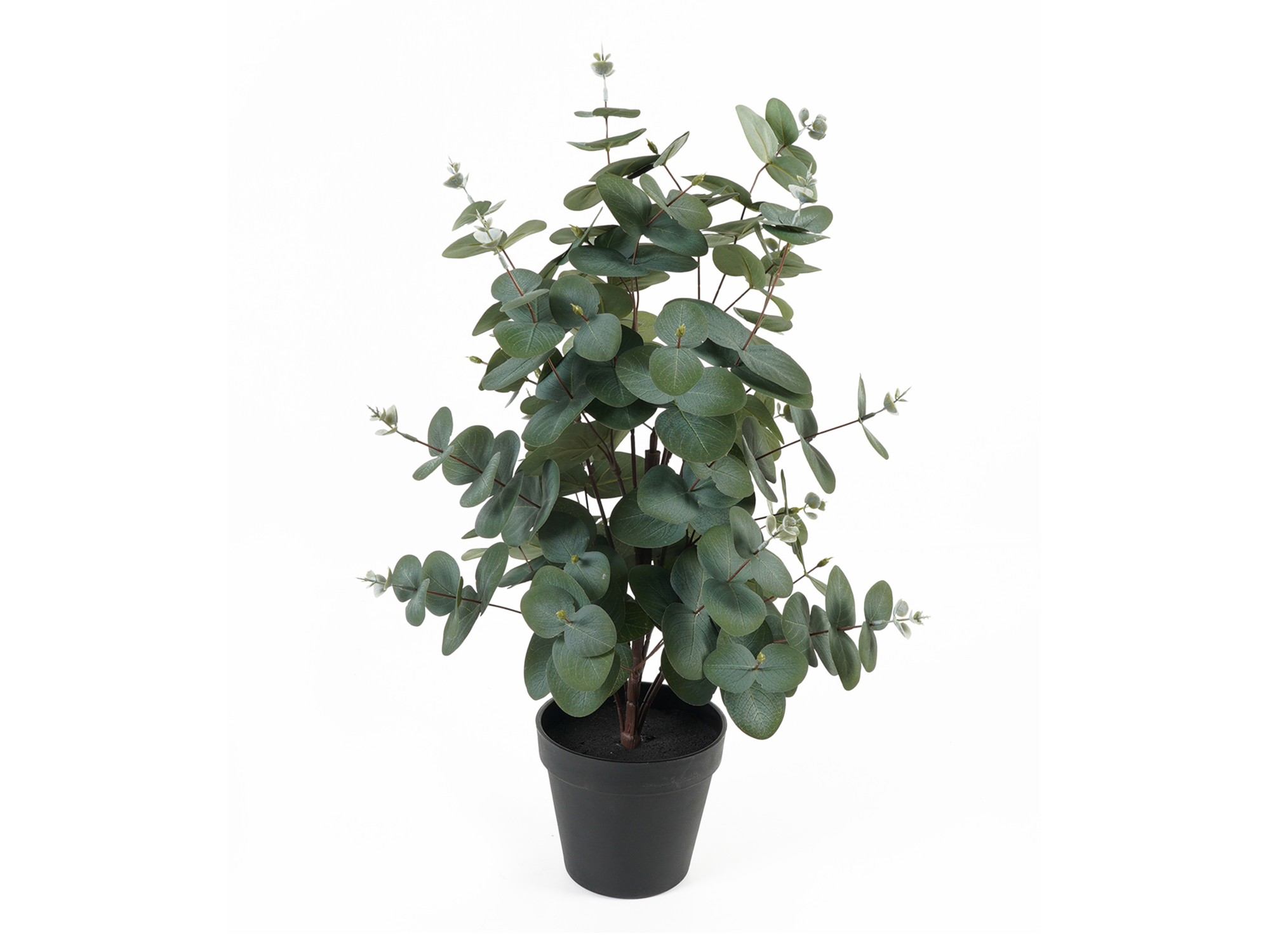 Artificial plant Eucalyptus Leaf