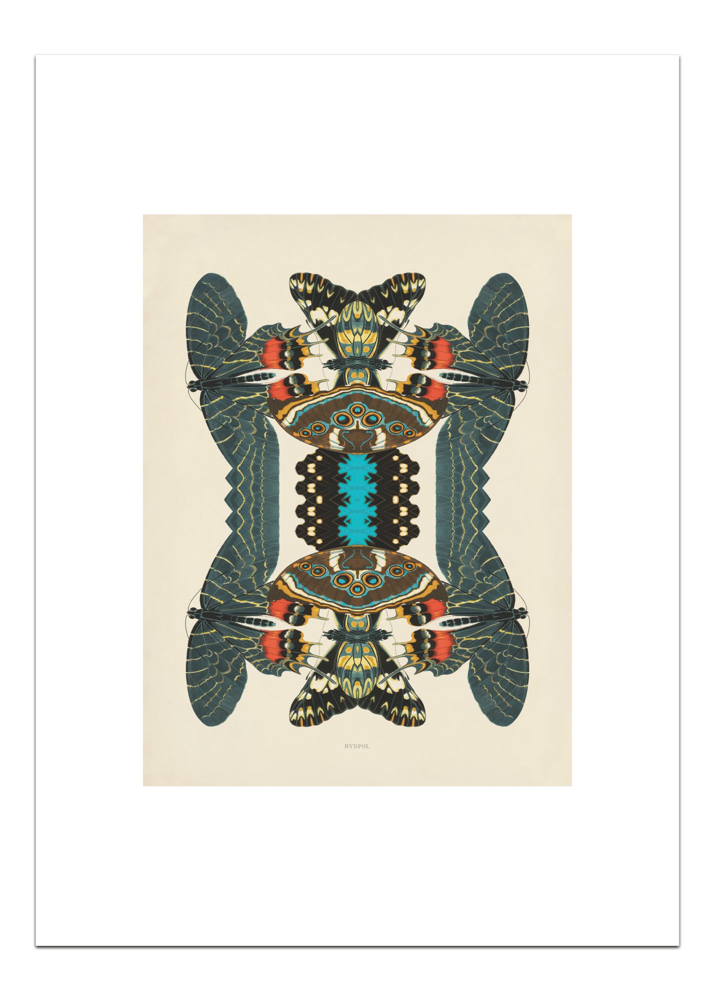 Poster Unfolding Butterfly 30 x 40 cm