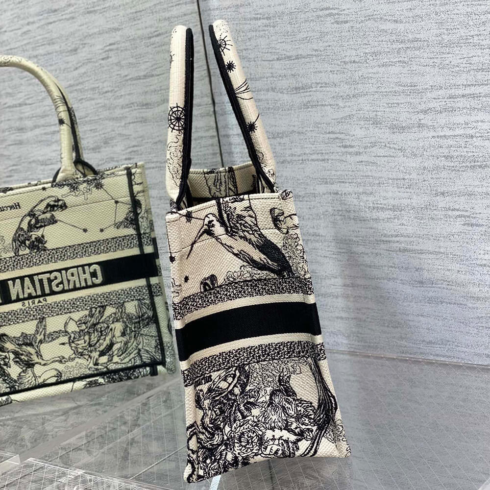 Small Dior Book Tote - Top Club