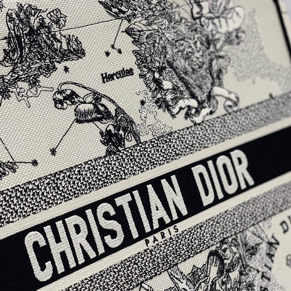LARGE DIOR BOOK TOTE - Top Club
