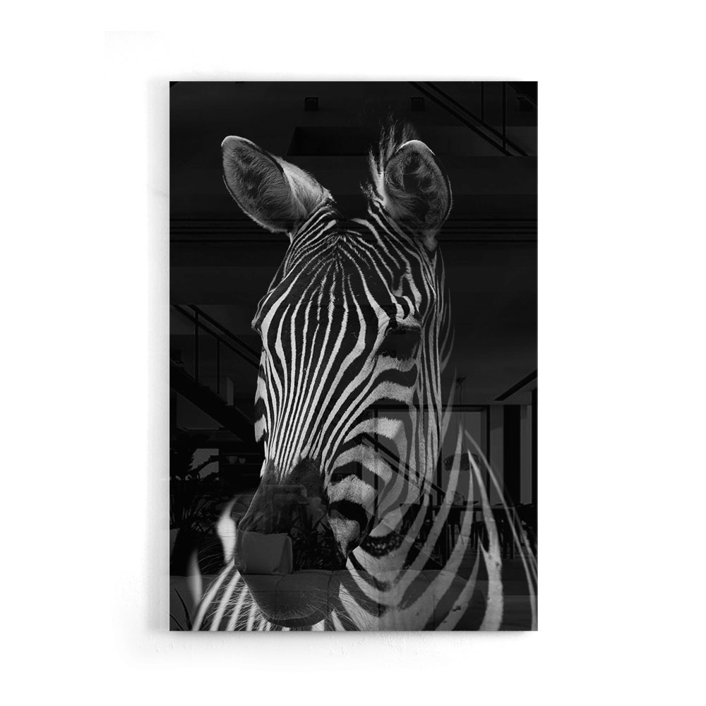Walljar acrylglas schilderij - Mysterious Zebra Acrylglas schilderij - 150 x 225 cm