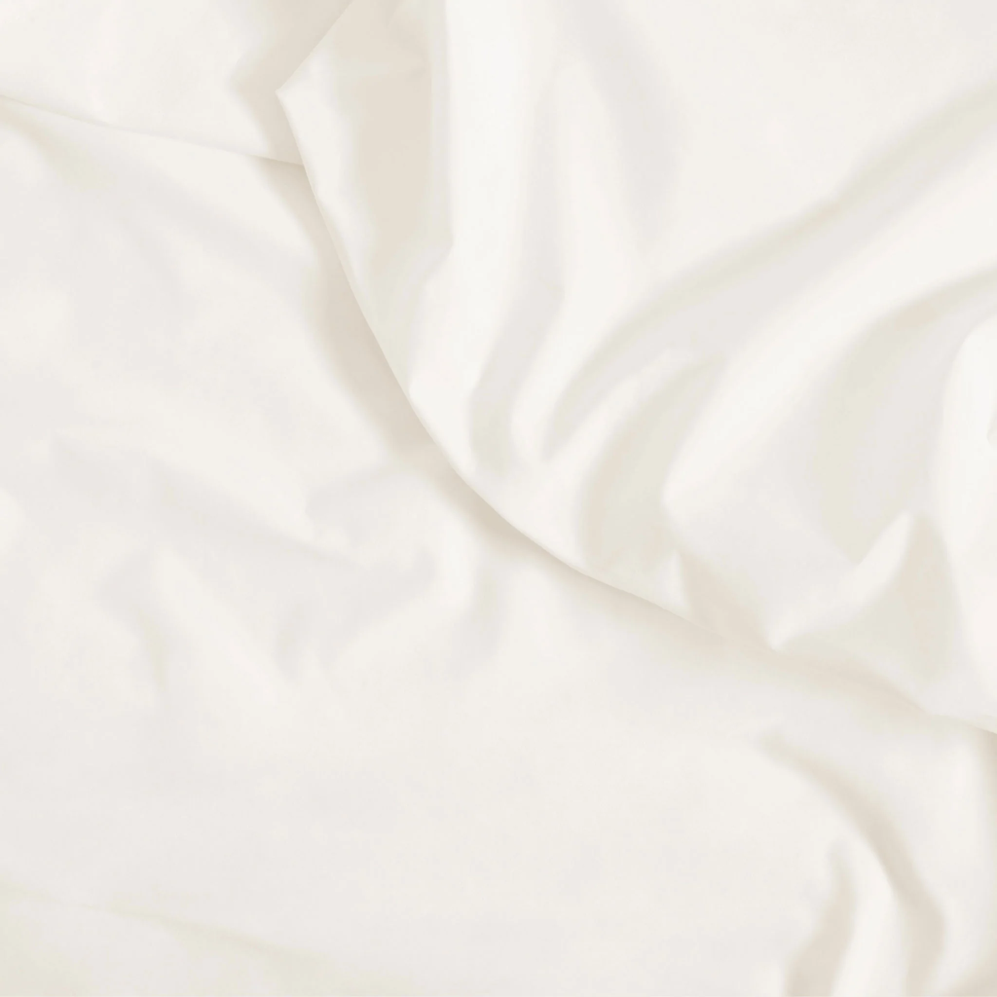 Classic Percale Fitted Sheet