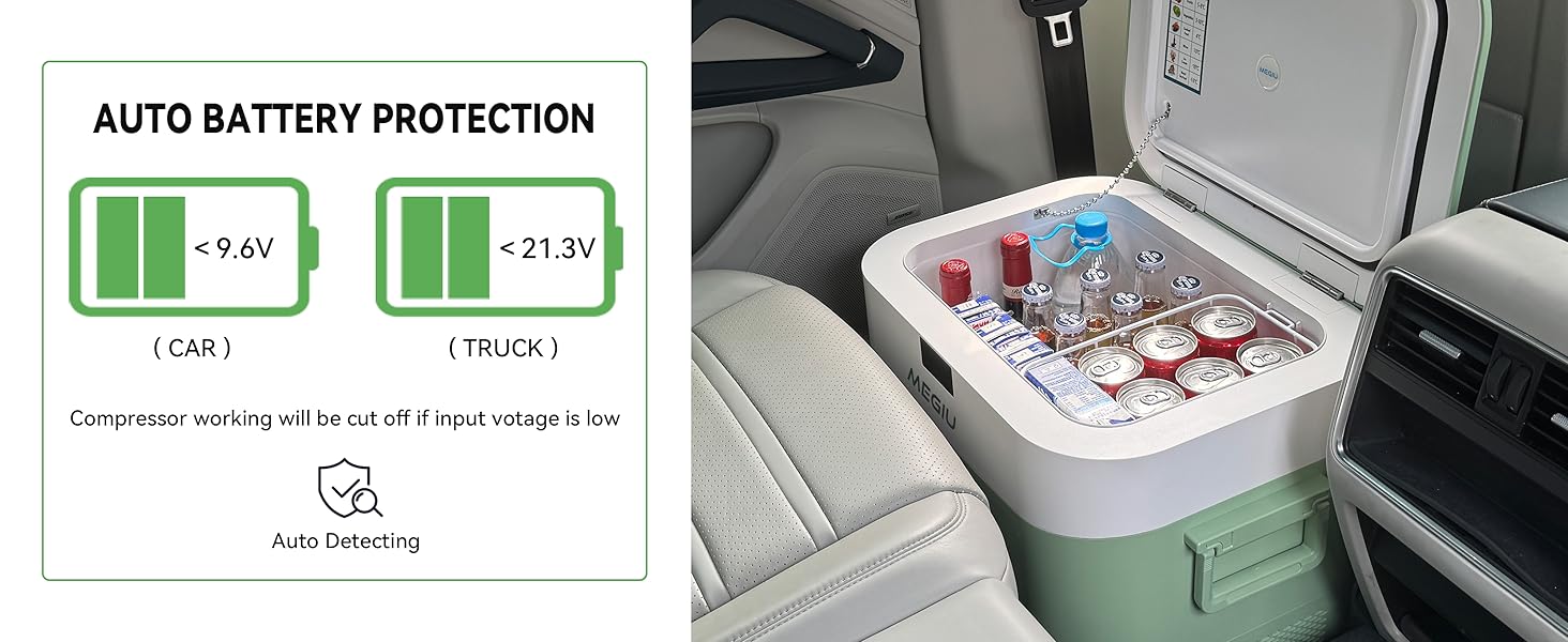 car freezer