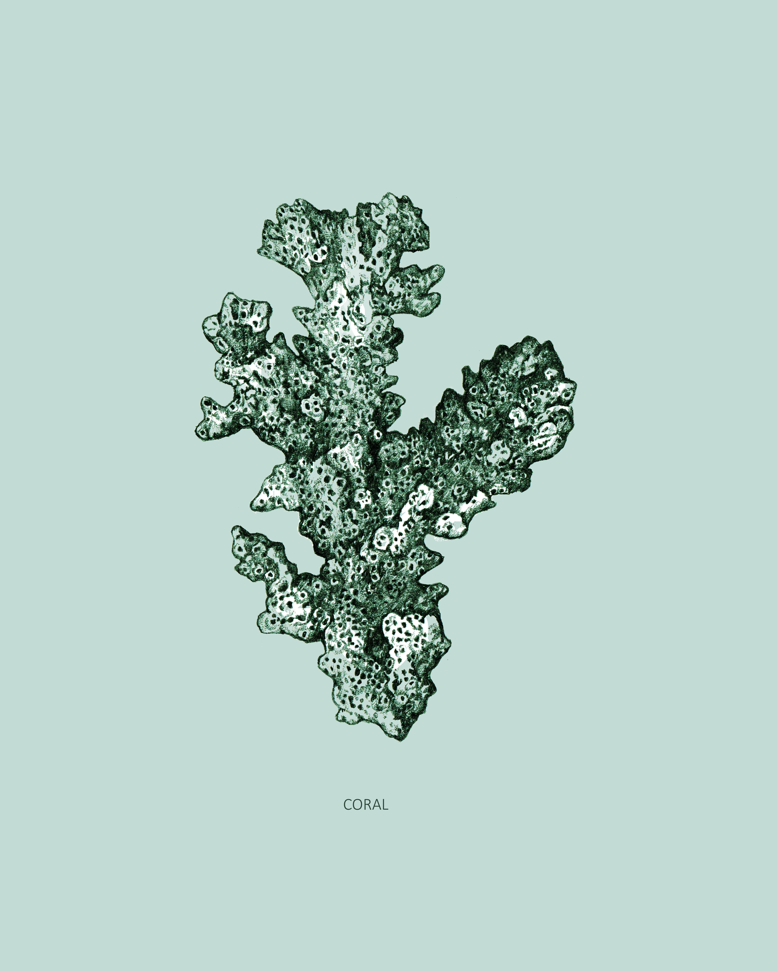 Poster Coral 40 x 50 cm