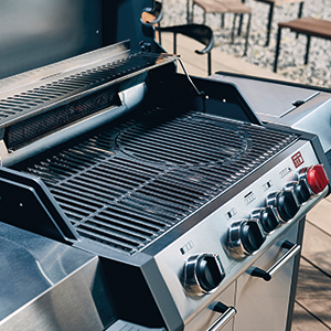 Numerous features of the barbecue
