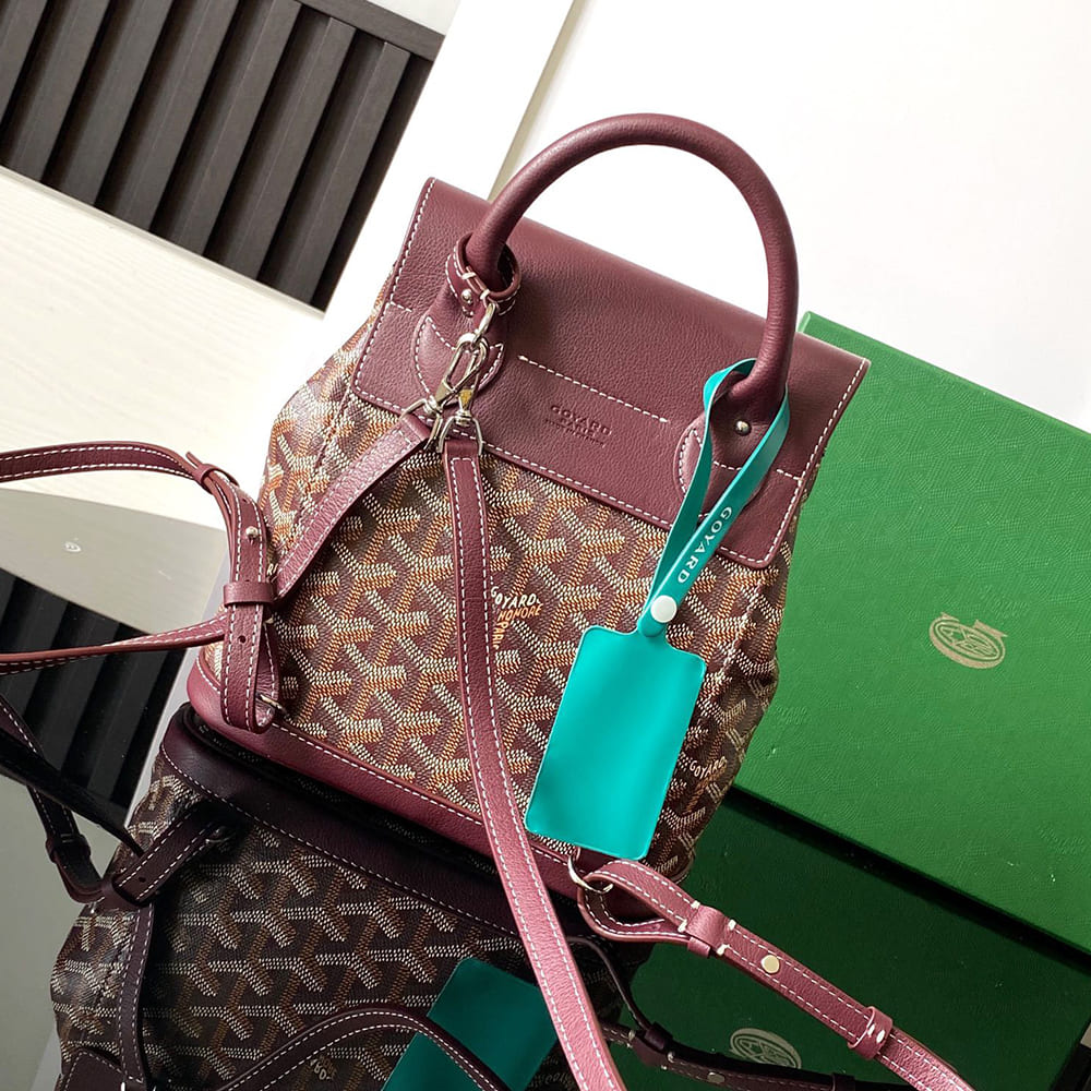 Goyard Alpin Mini Backpack - Top Club