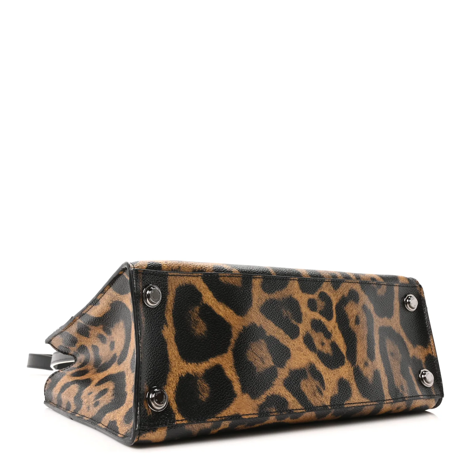 Canvas Calfskin Wild Animal Print City Steamer EW Marron - Top Club