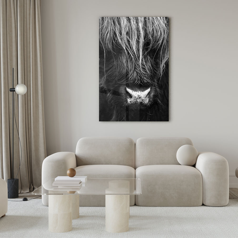 Walljar acrylglas schilderij - Close up Ox Acrylglas schilderij - 150 x 225 cm