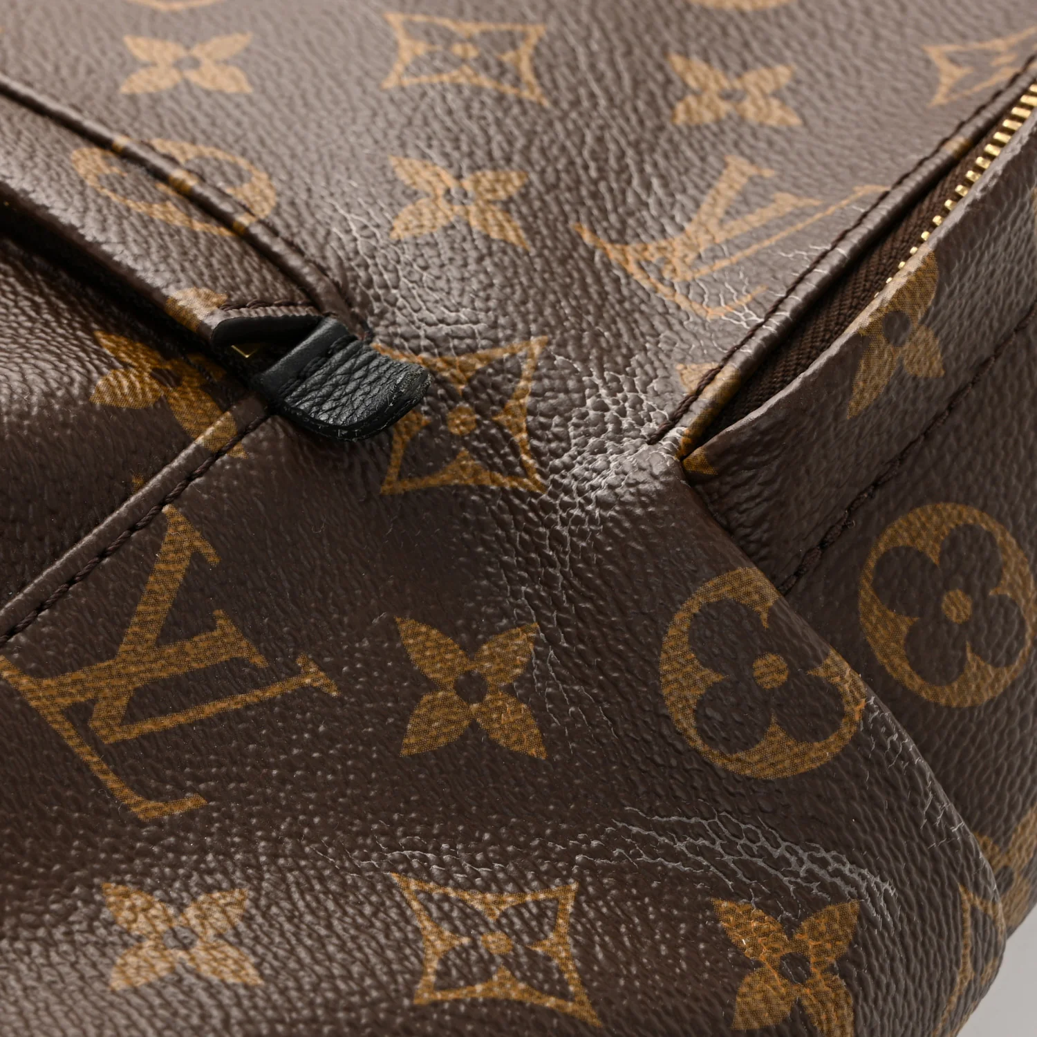 Monogram Palm Springs Backpack MM - Top Club