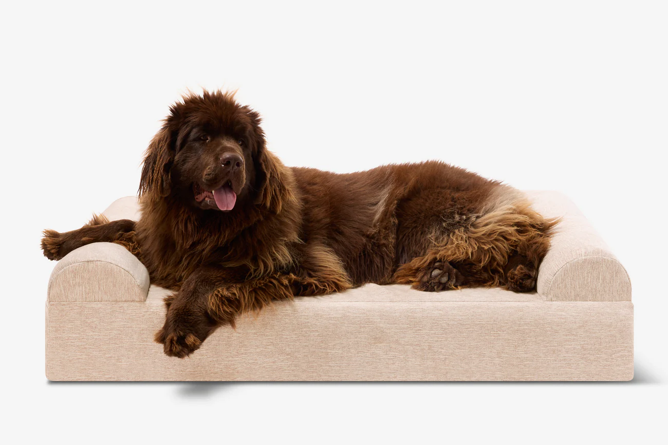 Original Orthopedic Dog Bed - Sofa Edition