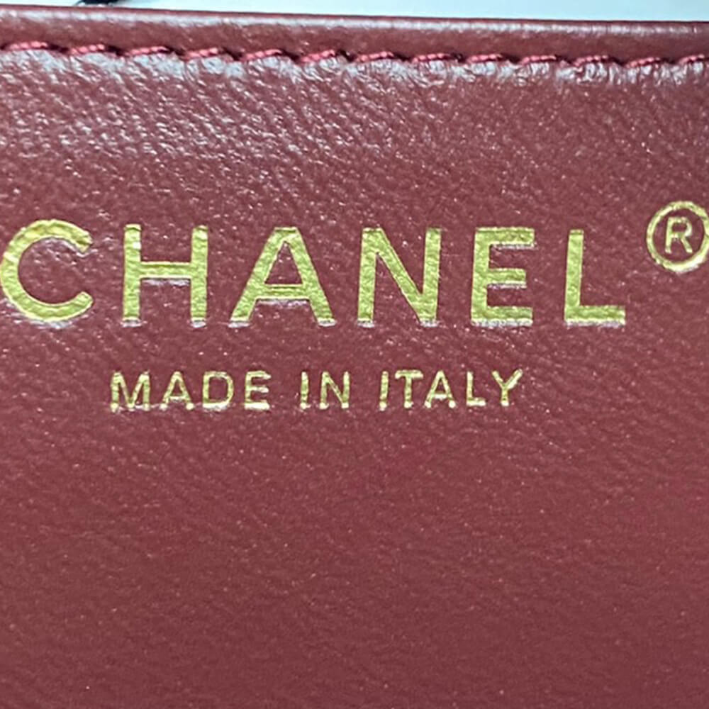 CHANEL Mini Camera Case - Top Club
