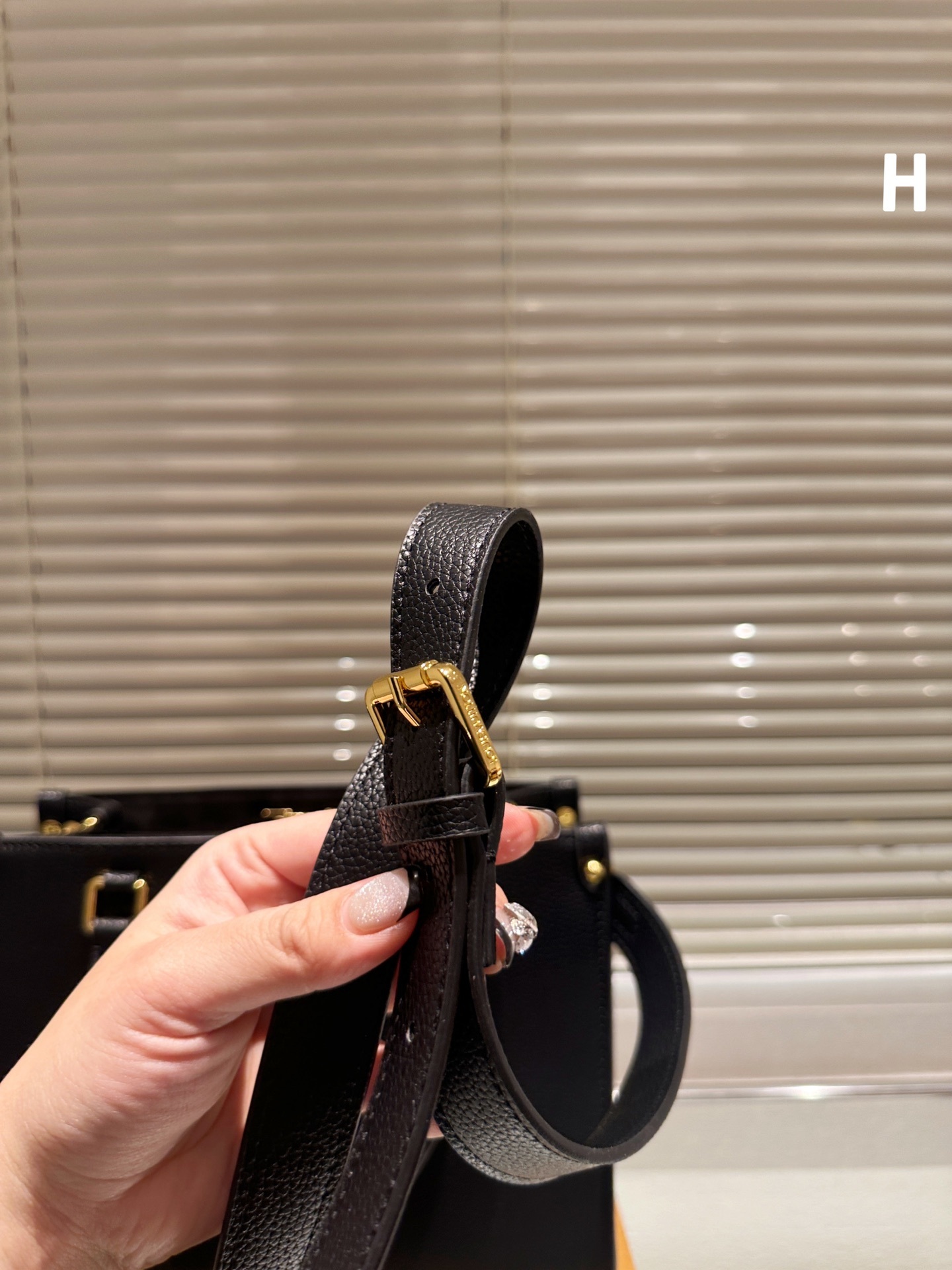Louis Fall Capsule tote bag size ; 25cm - Top Club