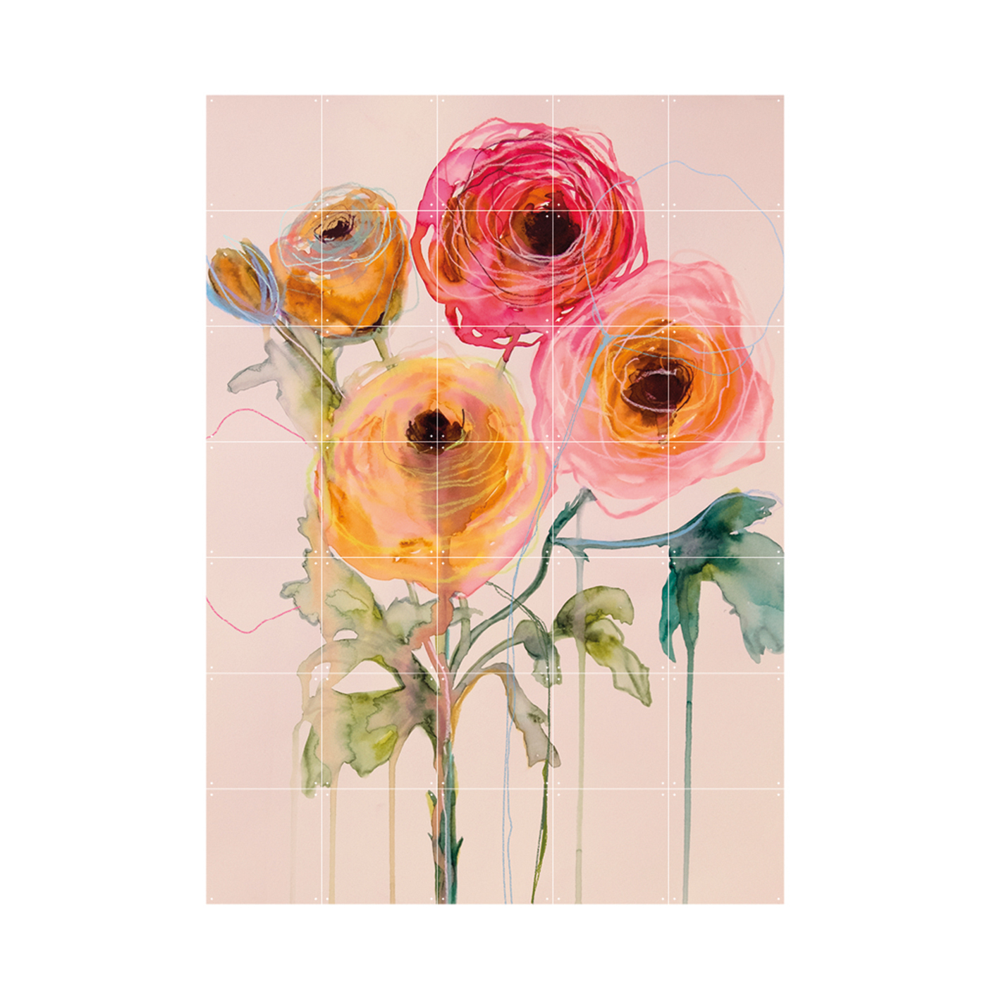 IXXI Ranunculus