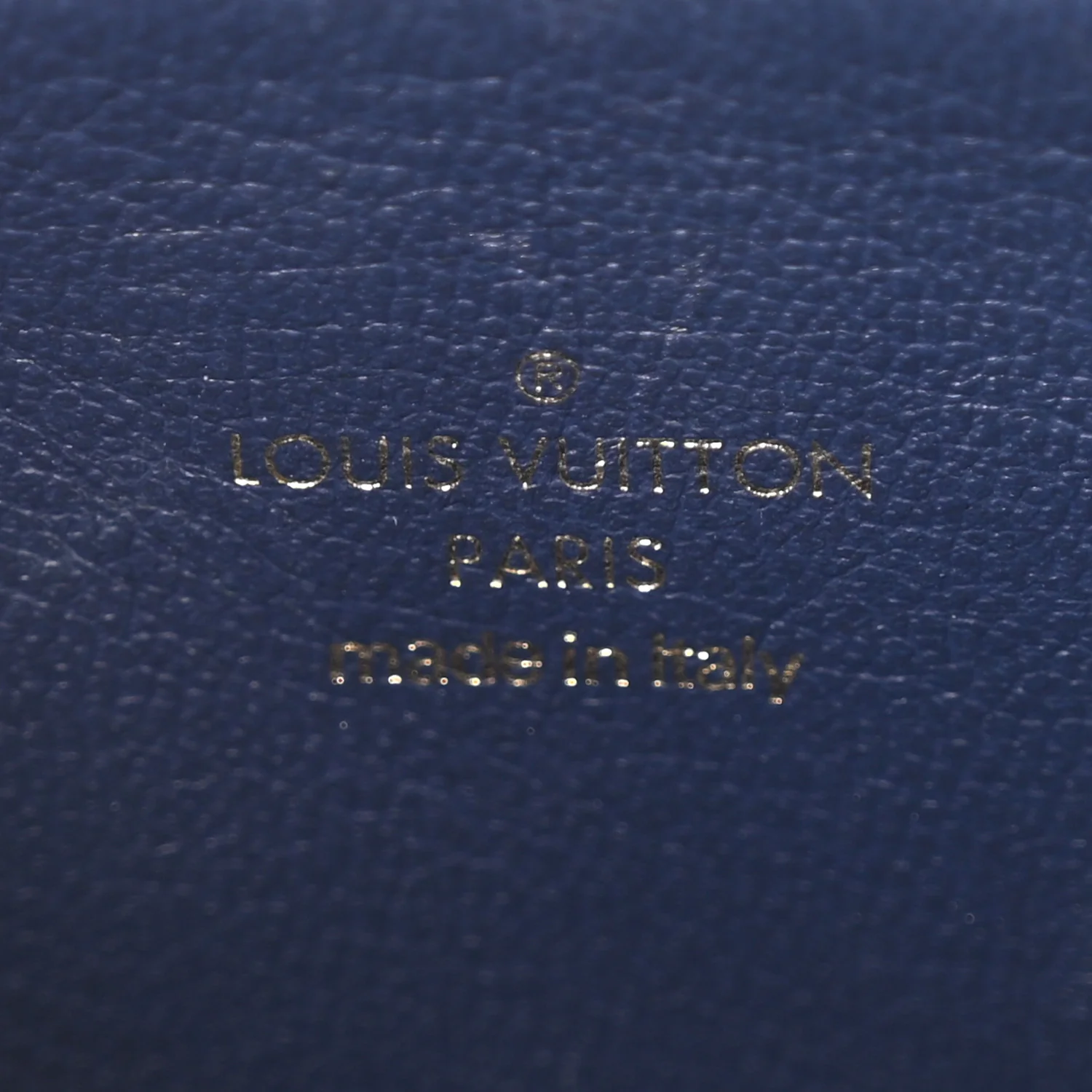 Lambskin Embossed Monogram Coussin PM Camel - Top Club