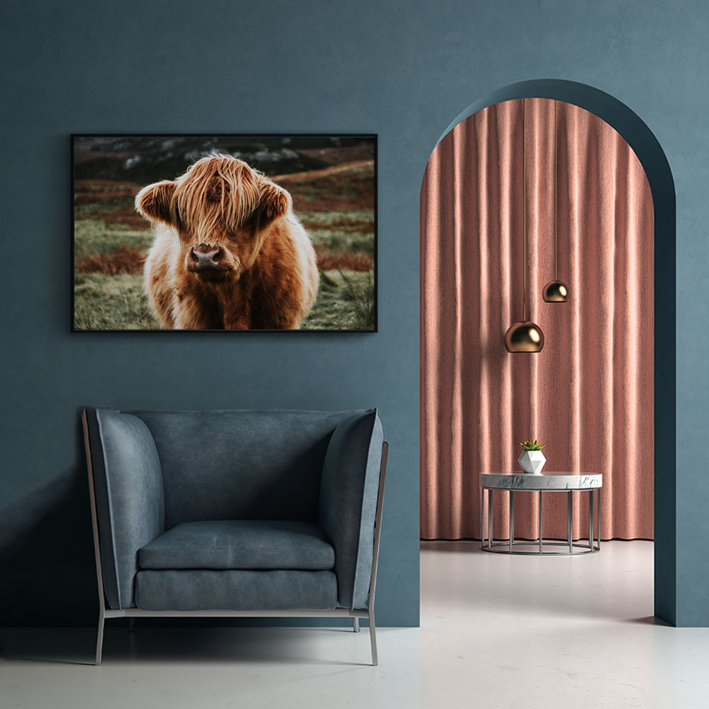 Walljar plexiglas schilderij - Schotse Hooglander Plexiglas schilderij - 150 x 225 cm