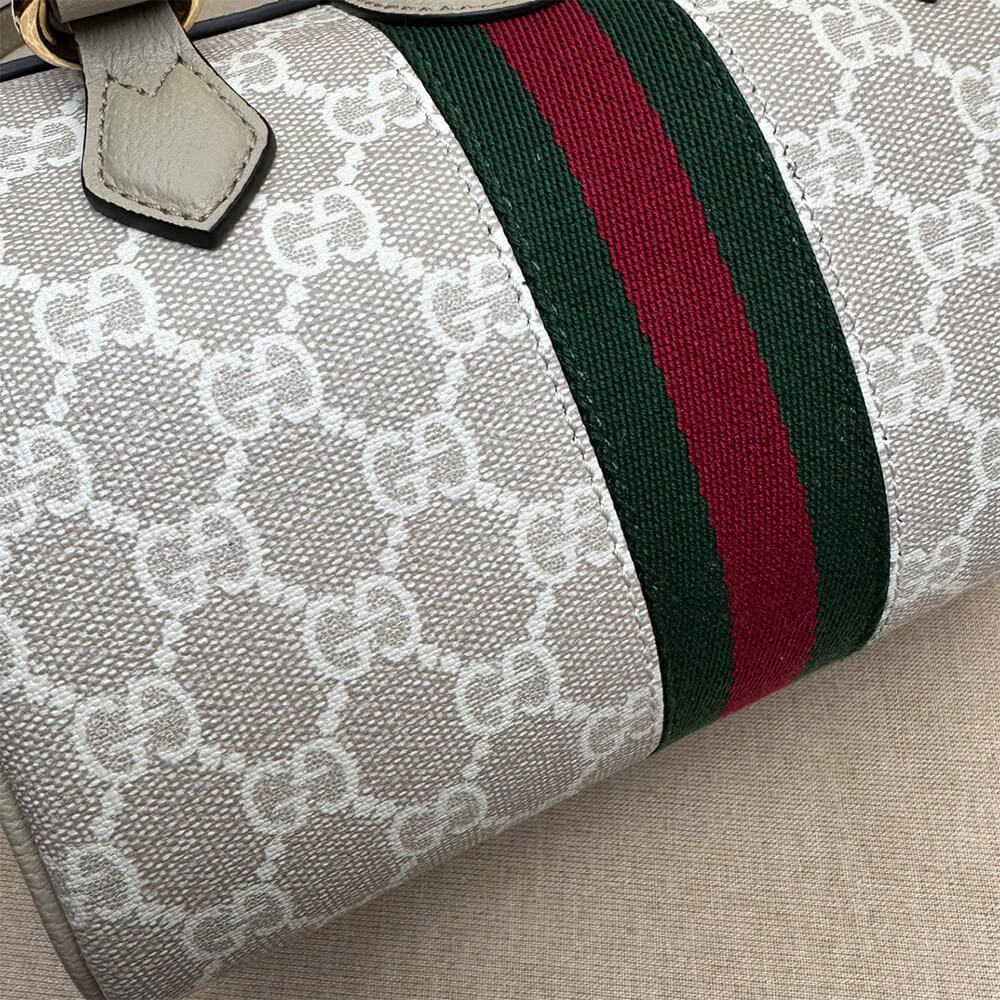 GUCCI Ophidia mini top handle bag - Top Club