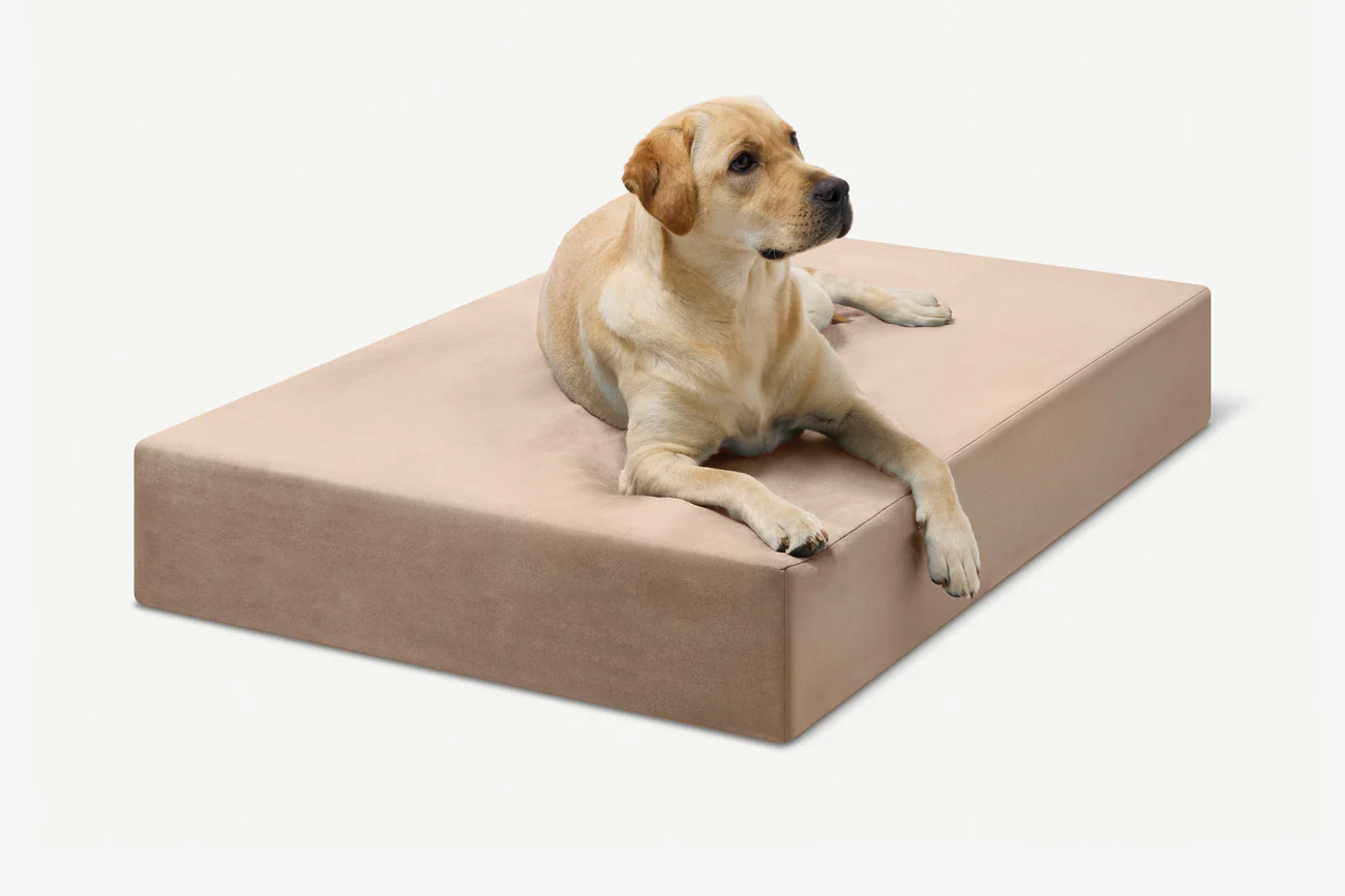 Original Orthopedic Dog Bed - Khaki