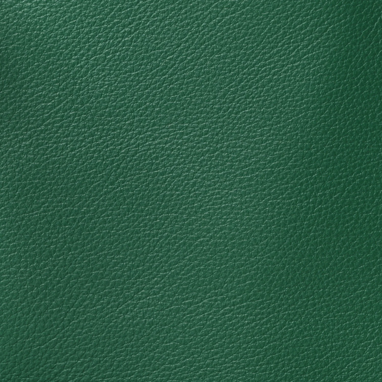 Goyardine Reversible Mini Anjou Green - Top Club
