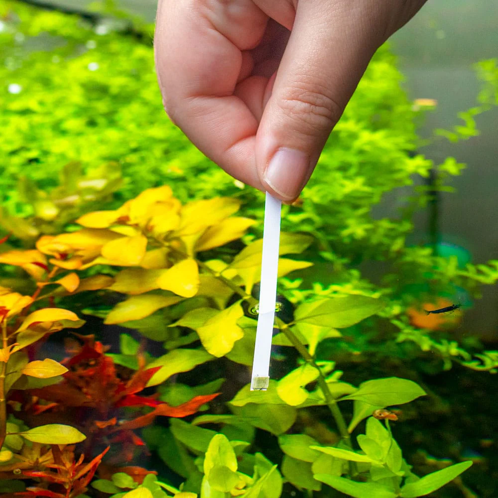 Aquarium Co-Op Ammonia Test Strips