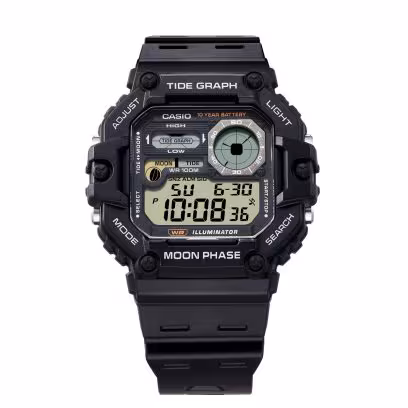 WS1700H-1AV