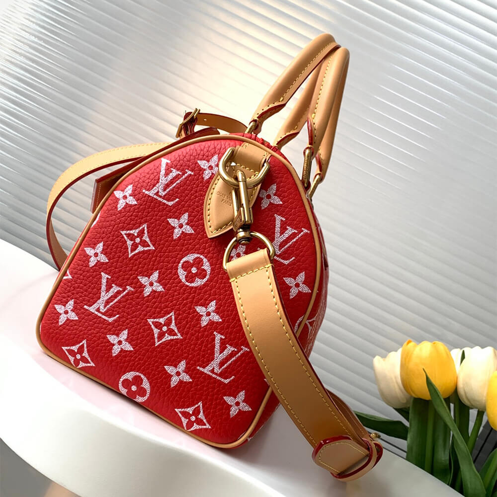 LV Speedy P9 Bandouliere 25 - Top Club