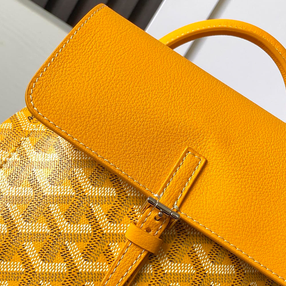 Goyard Alpin Mini Backpack - Top Club