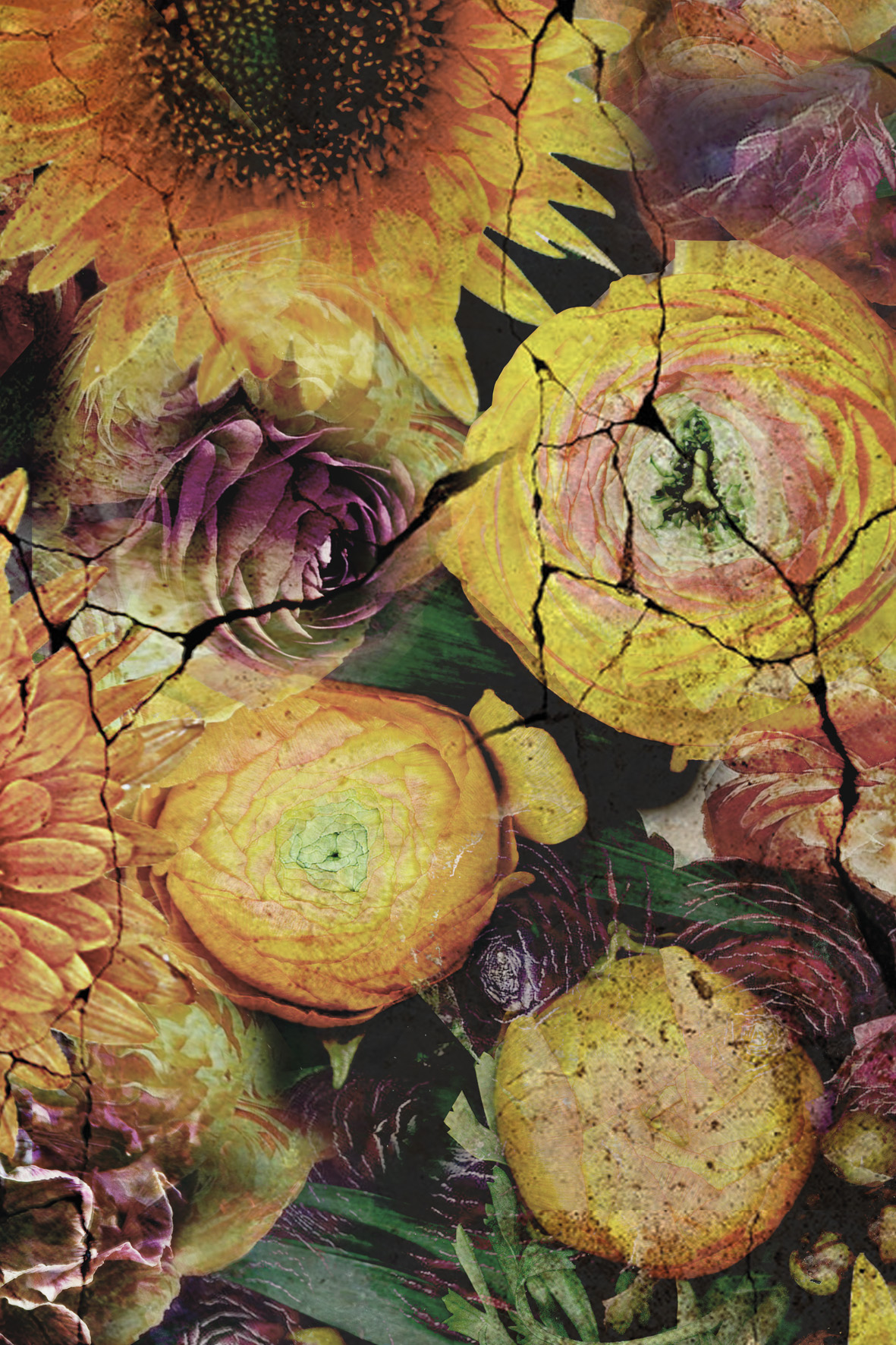 Kussen Anemoon  40 x 60