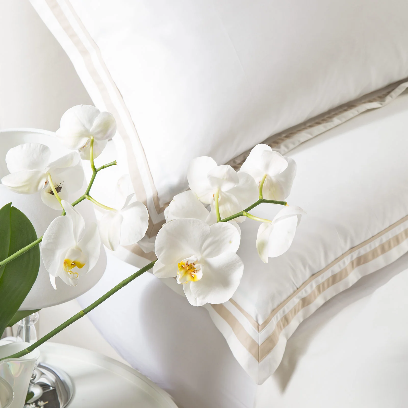 Complete cover in Percrale Atelier Natural Dreaming Damer